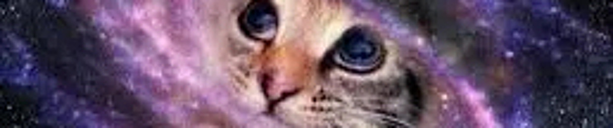 jaydengoddam