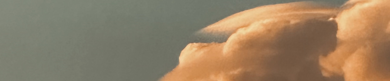 Joël Olivier