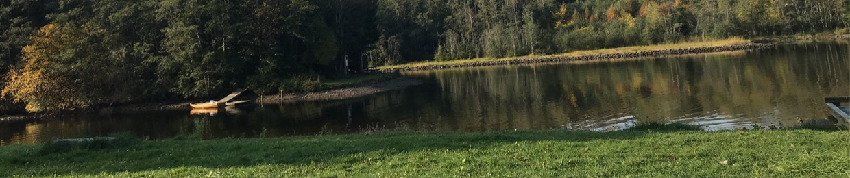 Robbin Hammer Vik Lovdal