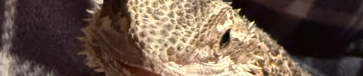 buttersorbeinch