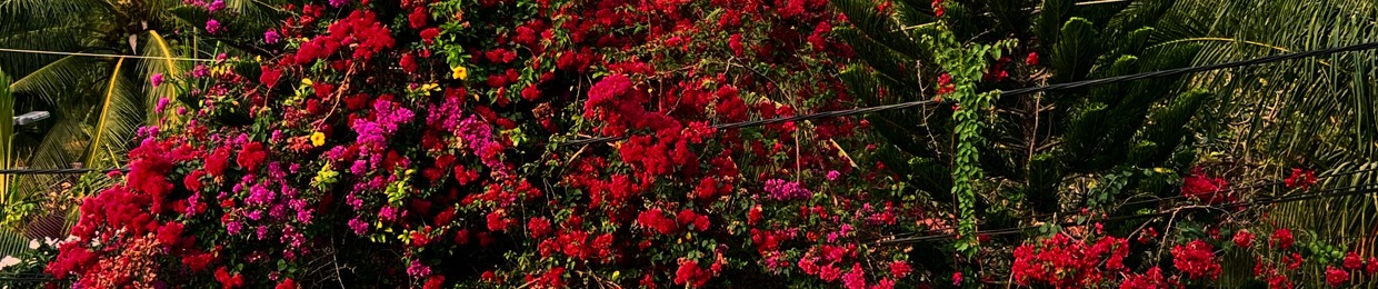 Nguyễn Quốc Nhân