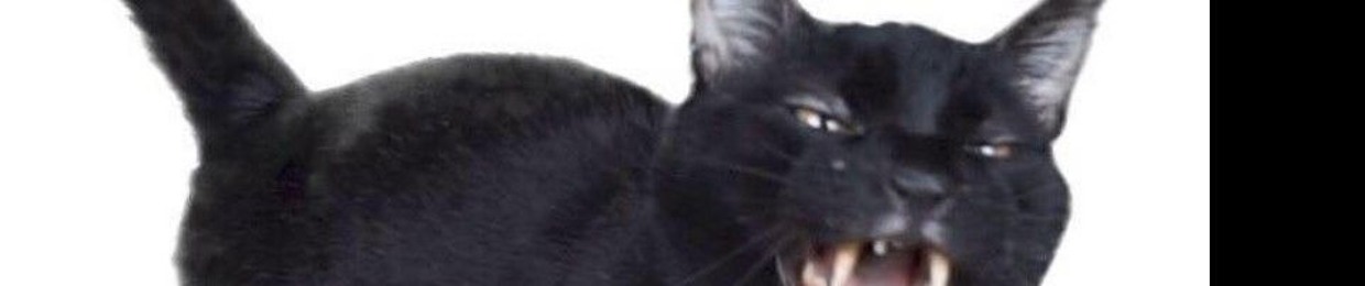 Sylvester Cash Talking Kitty Cat