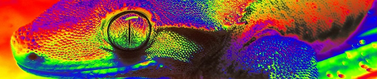 GECKOGLOW