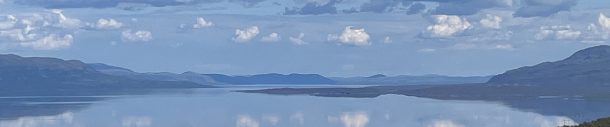 Ditte Liss, User 979440721