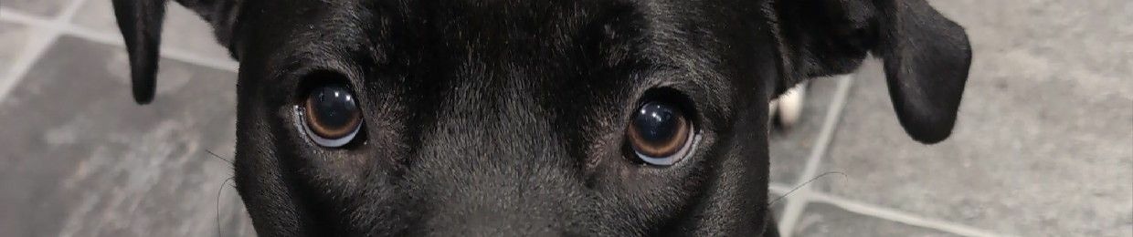 Sean MacKenzie Macleod