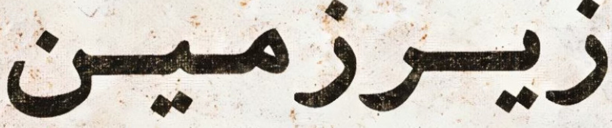 moein hasani