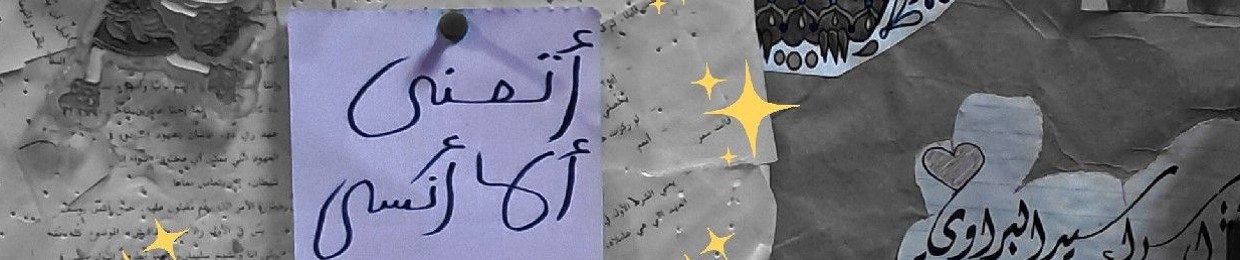 Esraa Elberawy