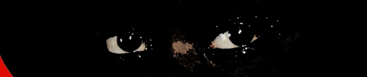 BLACKFACEPLUS