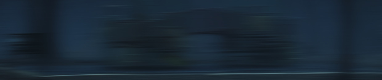 DS