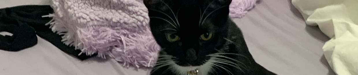 millie