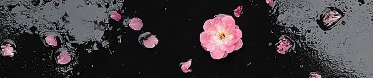 Janjoon 🎀🌸