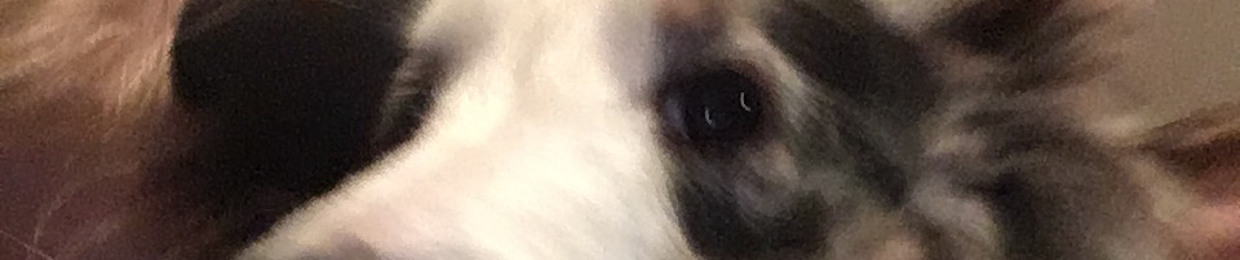Datbean Frompluto