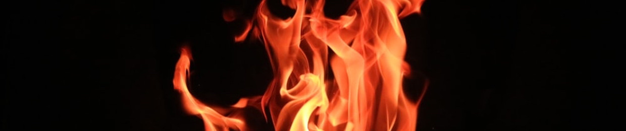 7svnty7 • Official