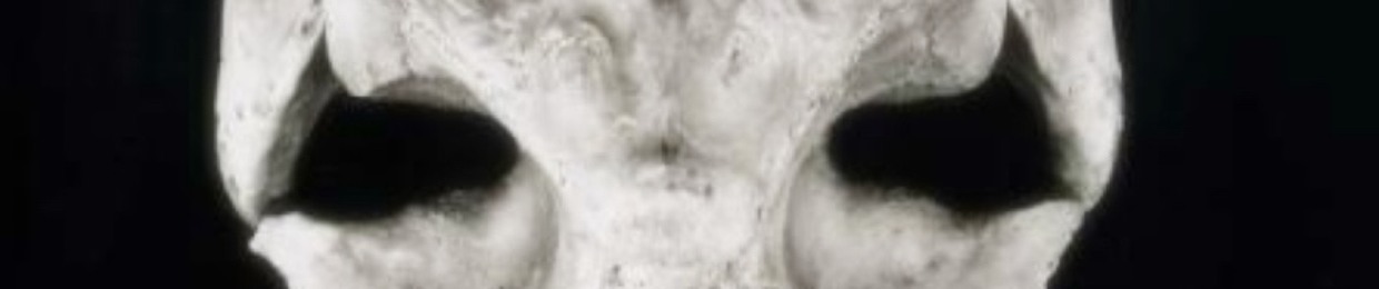 𝖙𝖍𝖊 𝖘𝖔𝖚𝖓𝖉