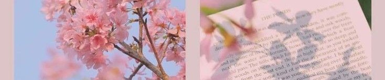 ｡⋆｡˚ ୨ৎ ˚｡⋆｡
