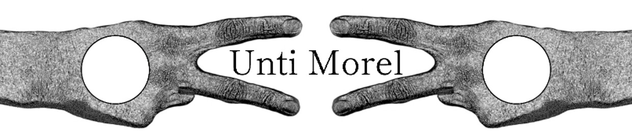 Unti Morel