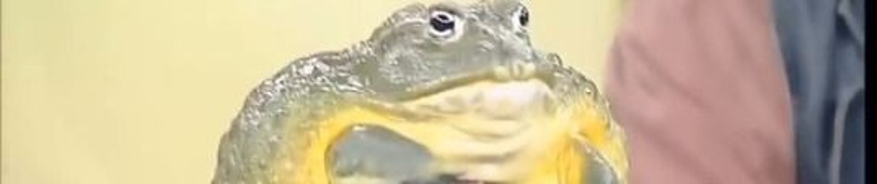 KöNiGGR