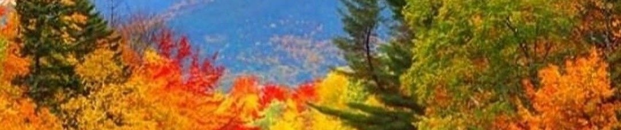 𝑀𝑎𝑟𝑜 🌻