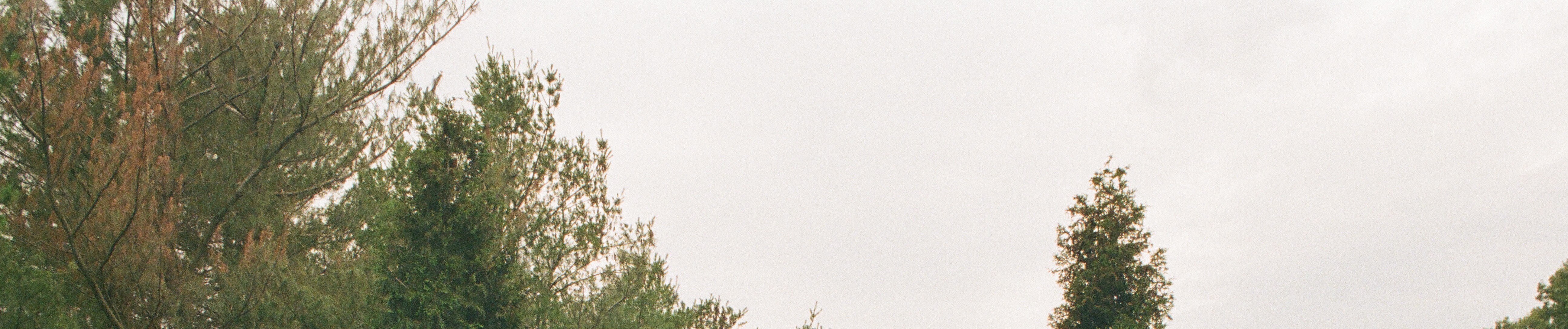 SoundCloud banner for @guy