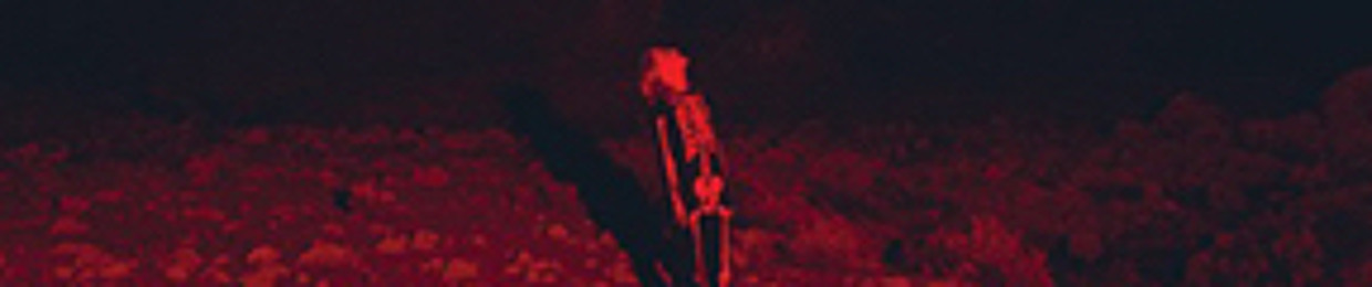 addi waddi bo baddie