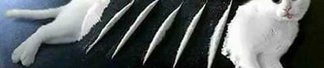 _ss🙄ss_______________________.$-^