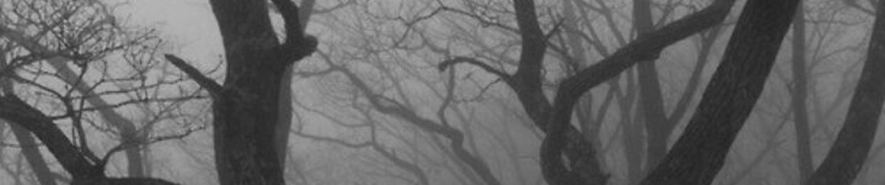 🇺🇦Anarxia🇺🇦