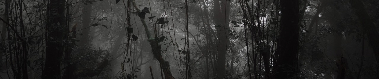 TREES GROW EVERYWHERE