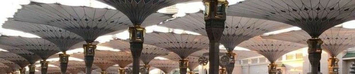 أحمد محمد