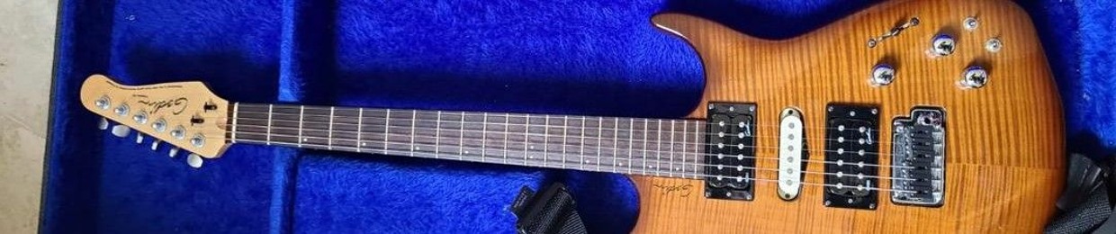 T Michel Guitare