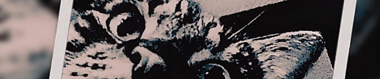 2R