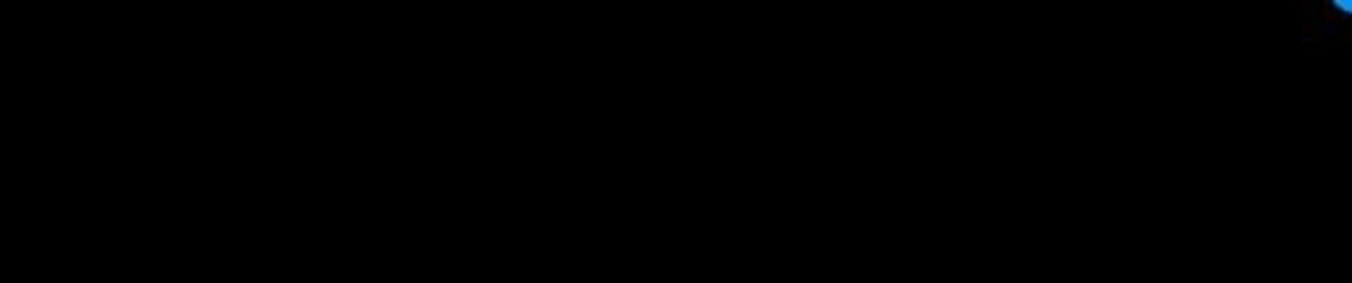 allyjhit
