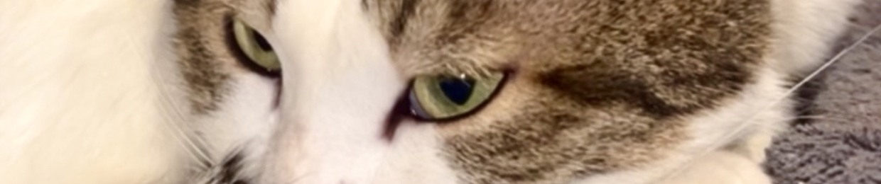 Turp