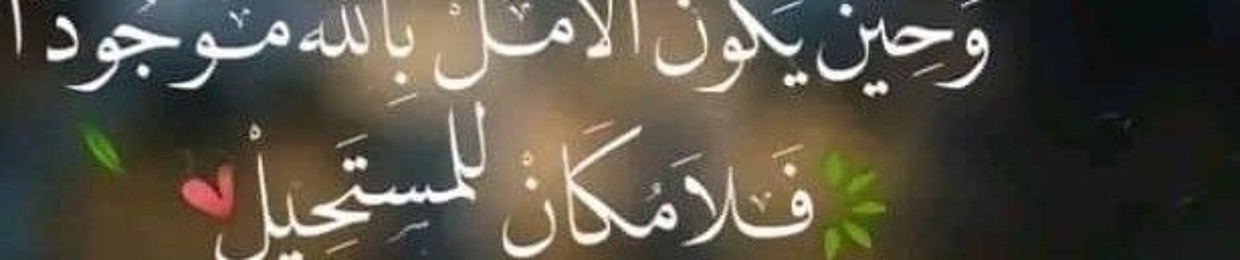 Sir Nour