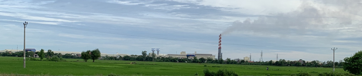 Nguyễn trực