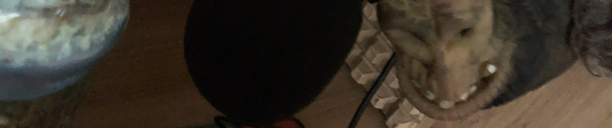 𝖁𝕴𝕹𝕮𝕰𝕹𝖅𝕺