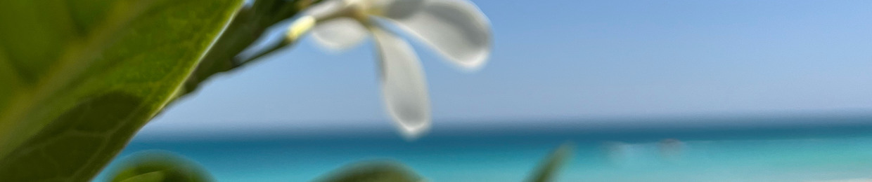 deep tropical blu
