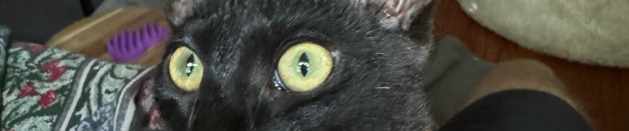 sPook