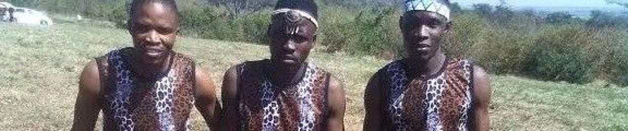 DIBATANA TSA BOGOSI