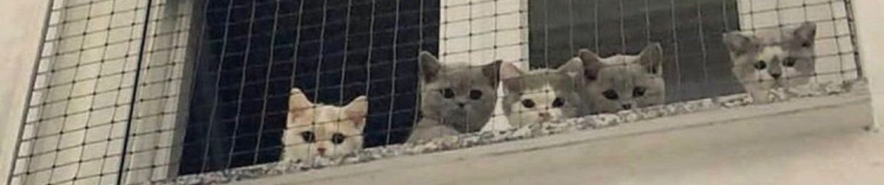 ☤