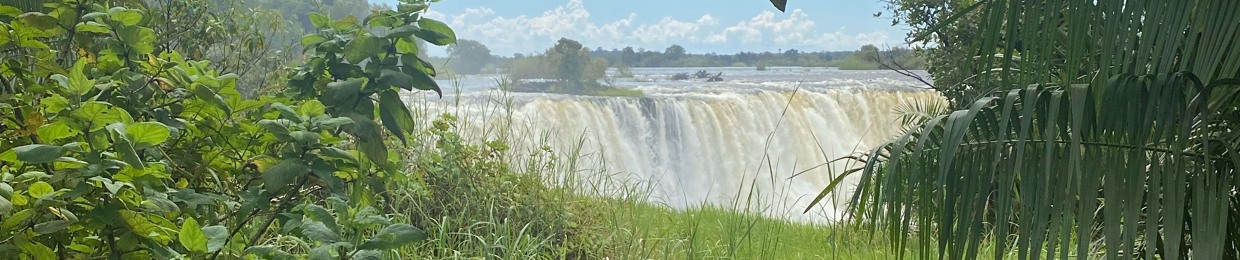 mthokozisi