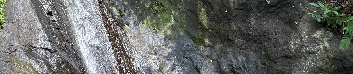 MICMAC | Tropical Borders