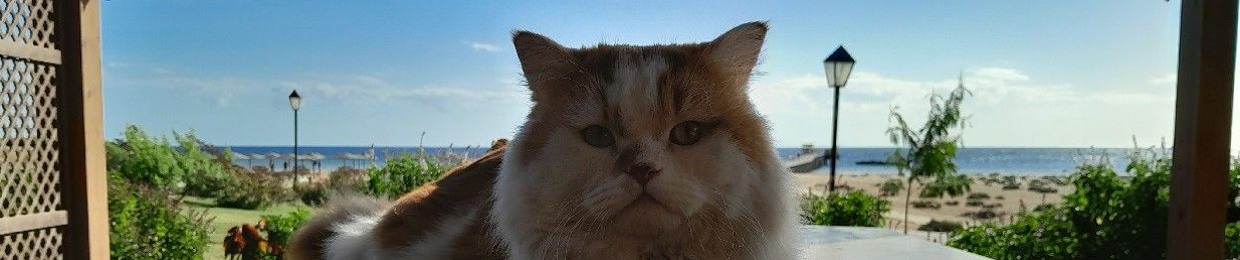 Ħẵmădẵ ÅlǿuŠh