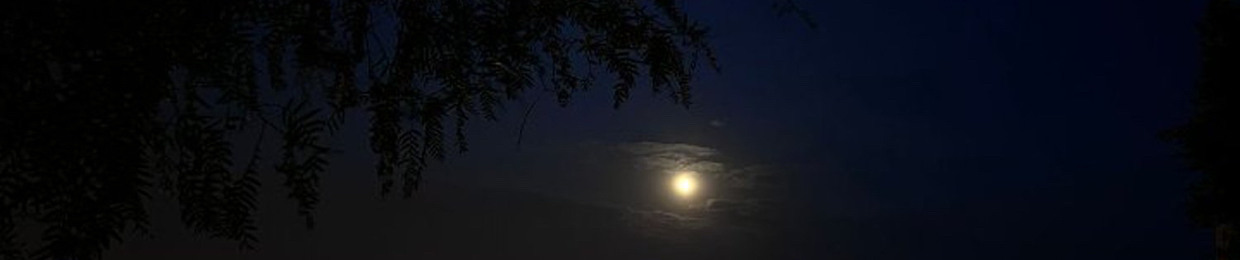 رُزة