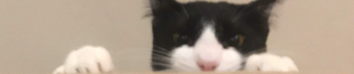 Erik