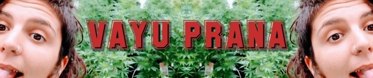 Vāyu Prāṇa