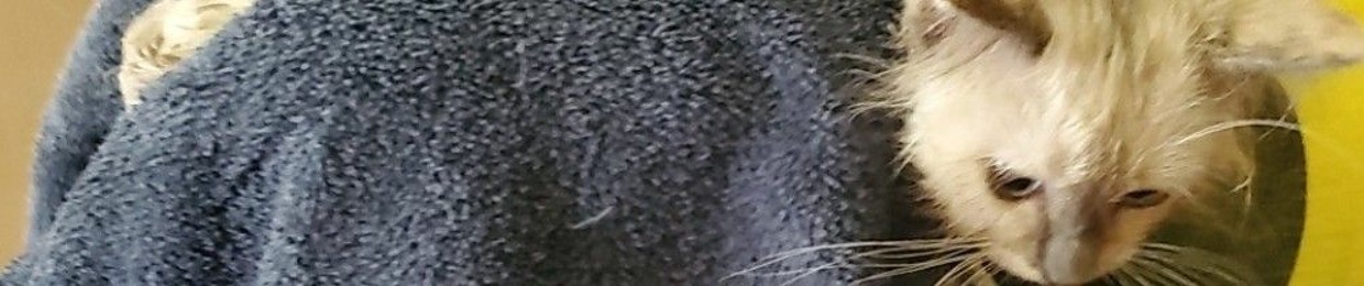 Caroline
