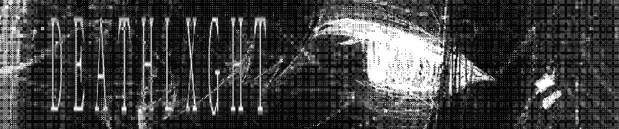 DEATHLXGHT