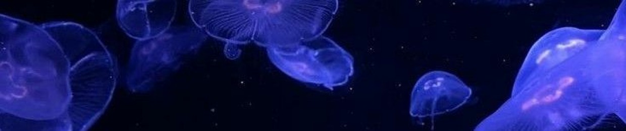 squishy.audios