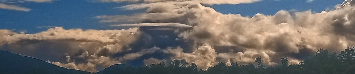 Shepherd Of The Earth