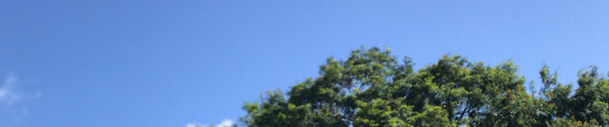 Lonida